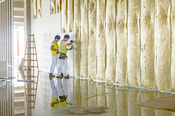Types of Insulation We Offer in Lakeview, GA